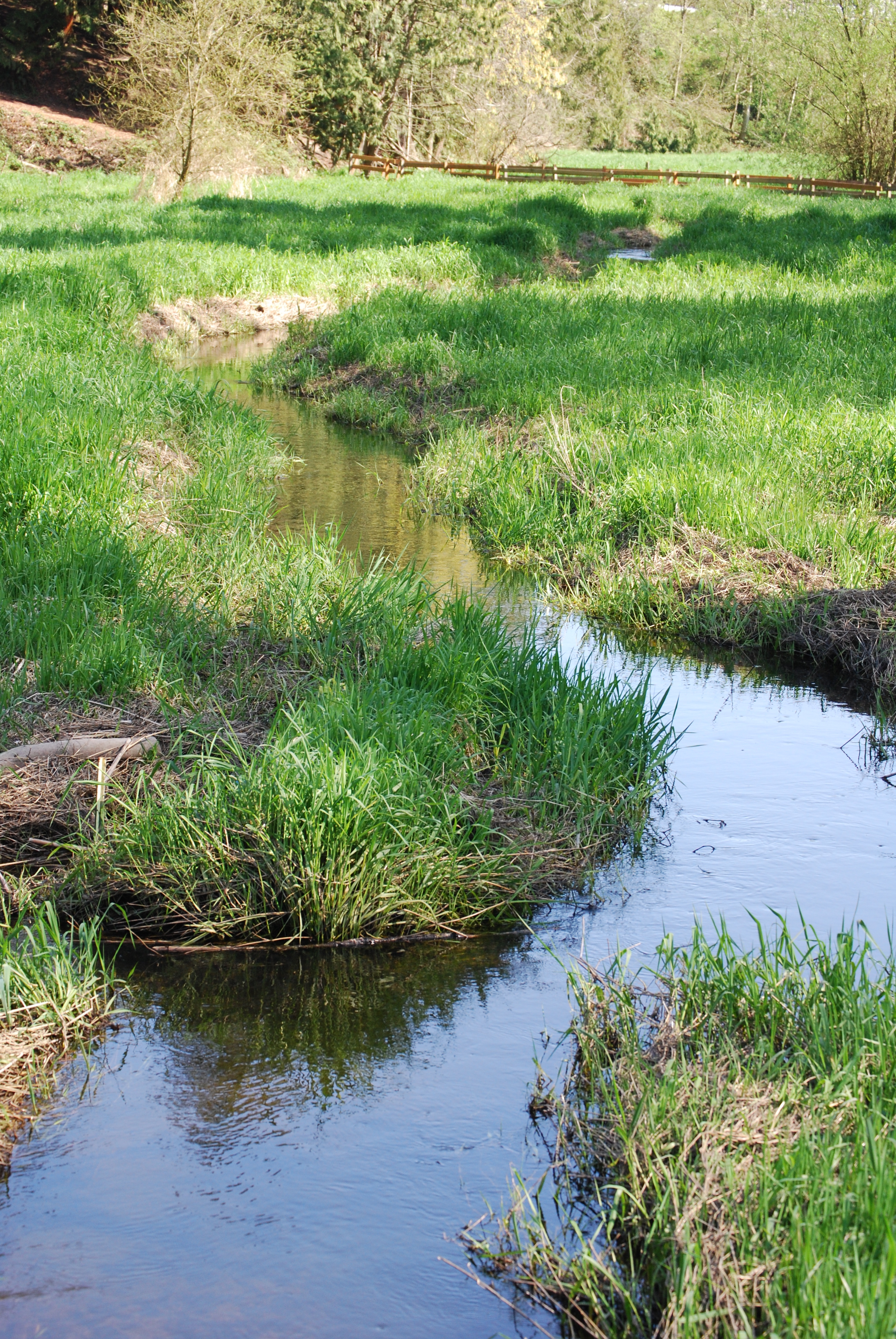 Jennings Park General